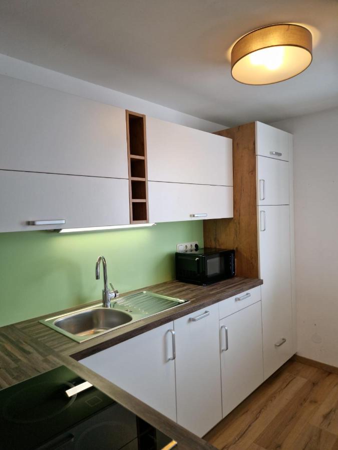 Apartment Pilz ゴーザウ エクステリア 写真